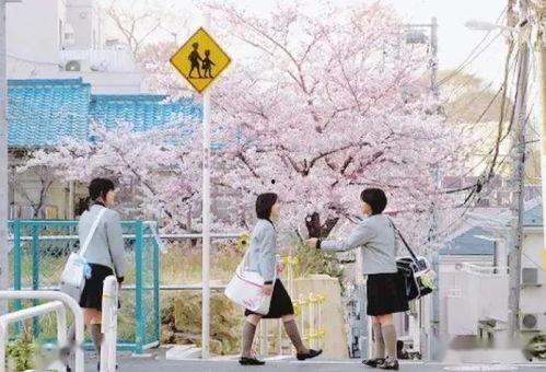 日本留学生桃花99,日本留学生异国求学记